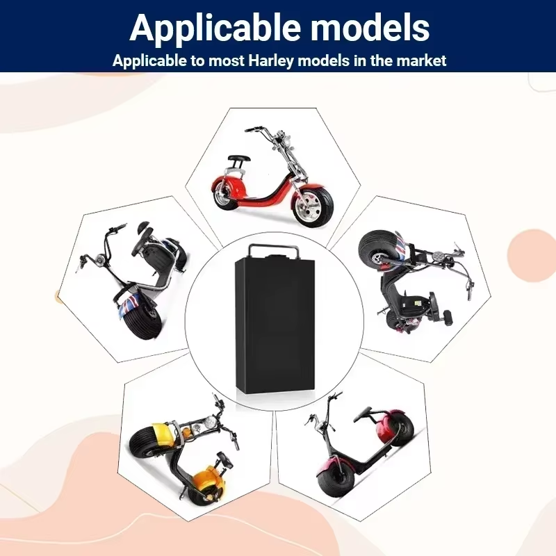For Harley Electric Motorcycle - 60V 30Ah Electric Scooter Battery 评论和价格