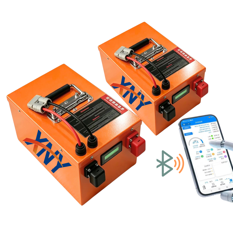 100Ah 60V 60Ah 80Ah 30Ah 60V 4 - 72V 60Ah Lifepo4 Battery Pack 评论和价格
